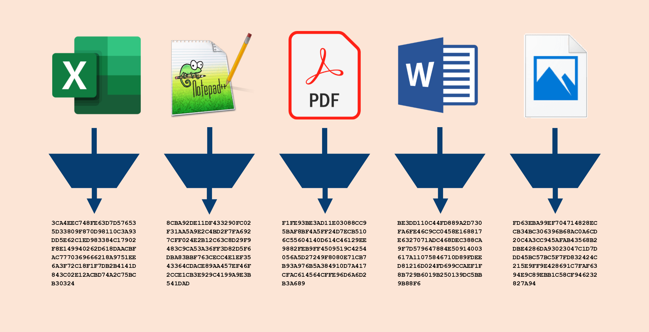 how-to-hash-files-in-python